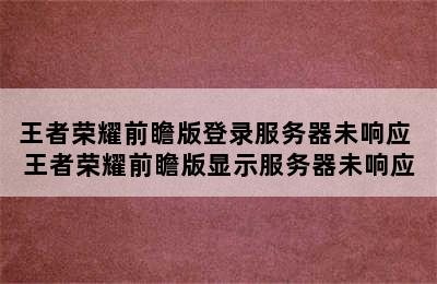 王者荣耀前瞻版登录服务器未响应 王者荣耀前瞻版显示服务器未响应